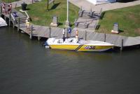 DSC_0201 (Medium).jpg